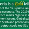 Nigeria is a Gold Mine N02 NigeriaIsAGoldMine